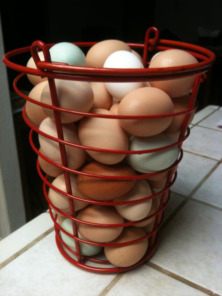 A basket of farm fresh eggs from Hidden Fortress Micro Farm