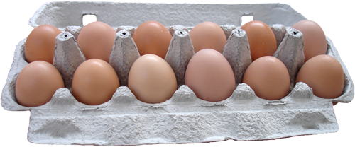 Carton of micro farmed fresh eggs